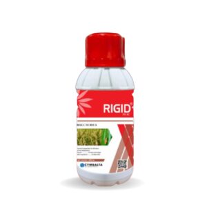 RIGID 0.4% G