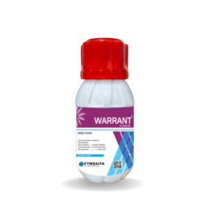 WARRANT 11.6% SC