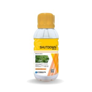 SHUTDOWN 20% SL