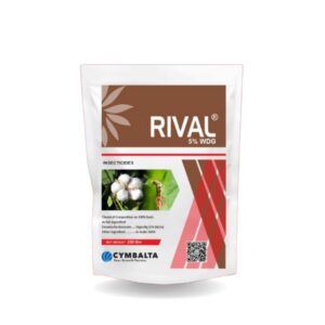 RIVAL 5% WDG