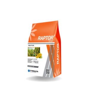RAPTOR 0.4% GR