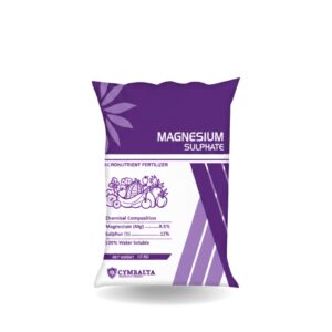 MGSO4