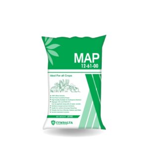 MAP 12:61 IMPORTED