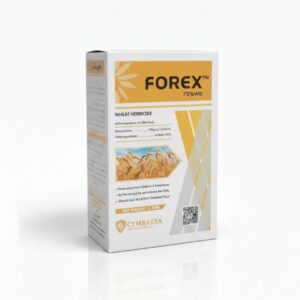 FOREX 75% WG