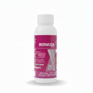 BERMUDA 25% OD